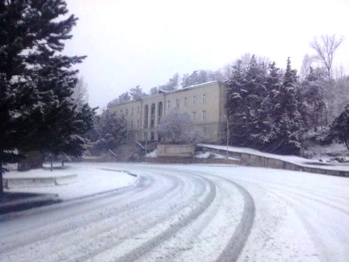 ადიგენსა და აბასთუმანში თოვს [photo]