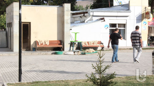 დღის ფოტო: ახალციხის ცენტრალურ პარკში მატყლს აშრობენ [Photo]