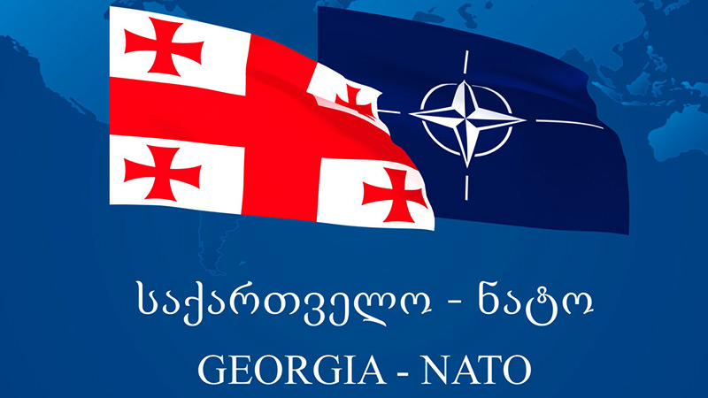 საქართველოს NATO-ში გაწევრიანებას,  ახალციხელთა 64% ემხრობა – NDI