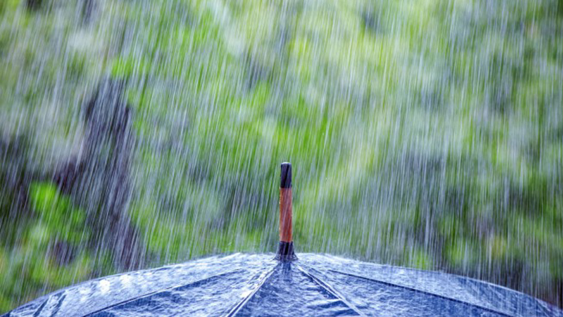უახლოესი დღეების განმავლობაში საქართველოში წვიმაა მოსალოდენლი