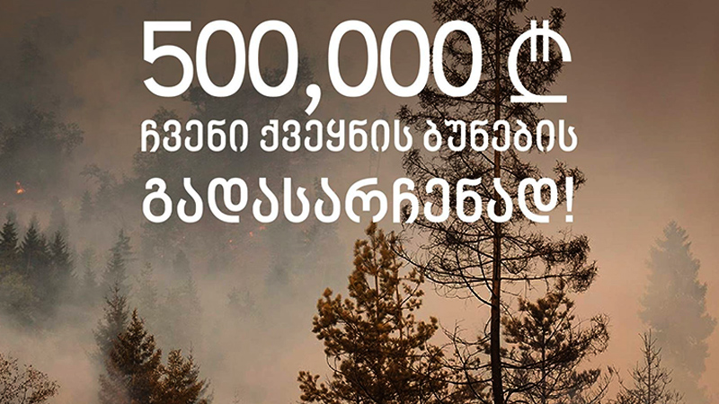 საქართველოს ჯანდაცვის ჯგუფი 500,000 ლარს გამოყოფს ხანძრისგან გამოწვეული ზიანის სარეაბილიტაციოდ