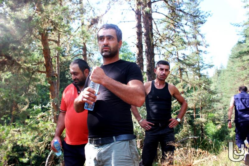 მოხალისეები აბასთუმნის ტყეში [Photo/Video]