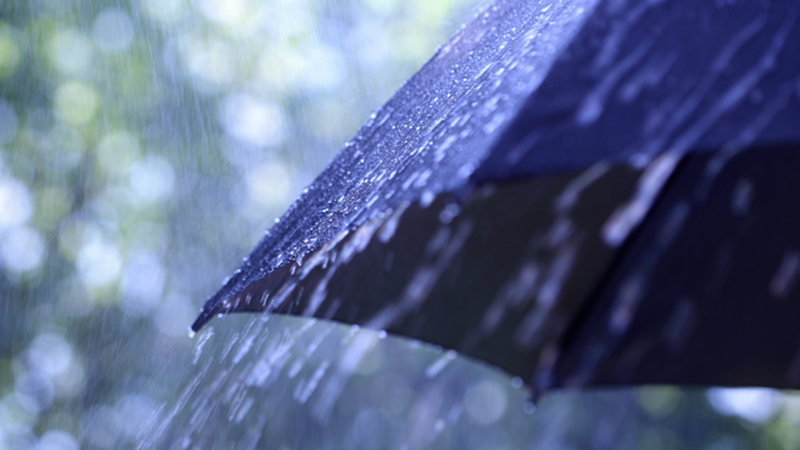 გარემოს ეროვნული სააგენტო: 4 ოქტომბრამდე წვიმიანი ამინდებია მოსალოდნელი