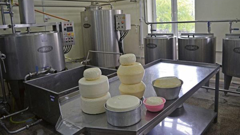 ახალქალაქში რძის გადამამუშავებელი კოოპერაციული საწარმო აშენდება