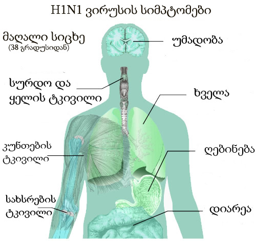 რეკომენდაციები H1N1 ვირუსის, ე.წ. ღორის გრიპის პრევენციისთვის