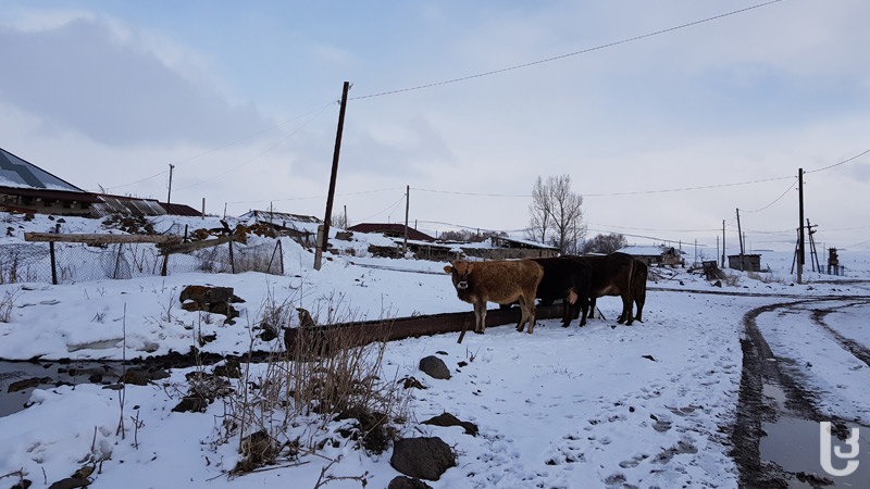 ზამთარი მაღალმთიან სოფლებში [Photo]
