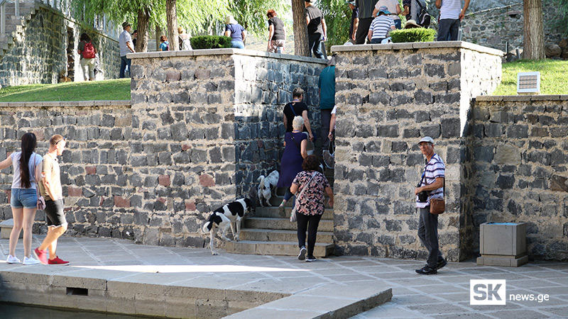 ტურისტები ახალციხის ციხეზე მიუსაფარ ძაღლებთან ერთად [ფოტო/ვიდეო]