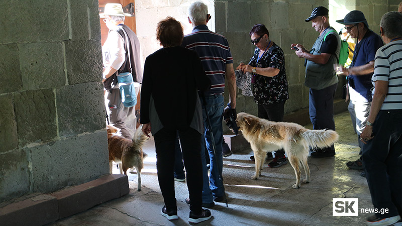 ტურისტები ახალციხის ციხეზე მიუსაფარ ძაღლებთან ერთად [ფოტო/ვიდეო]